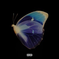 Cover of FROZEN MOMENTS