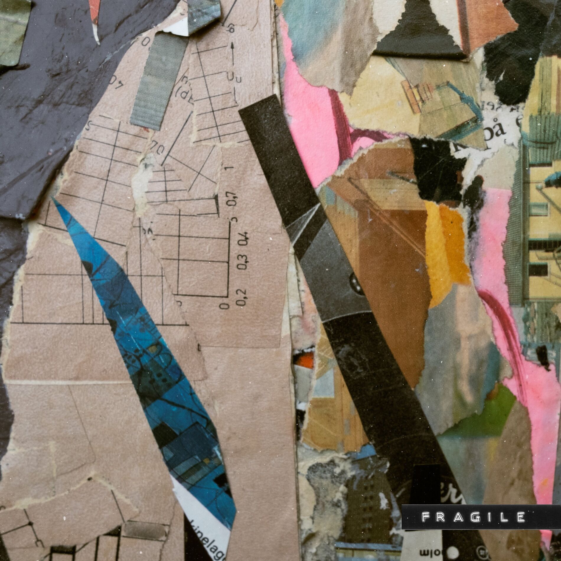 Album cover of Fragile