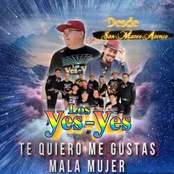 Cover of Te Quiero Me Gustas Mala Mujer Desde san Mateo Atenco (En Vivo)