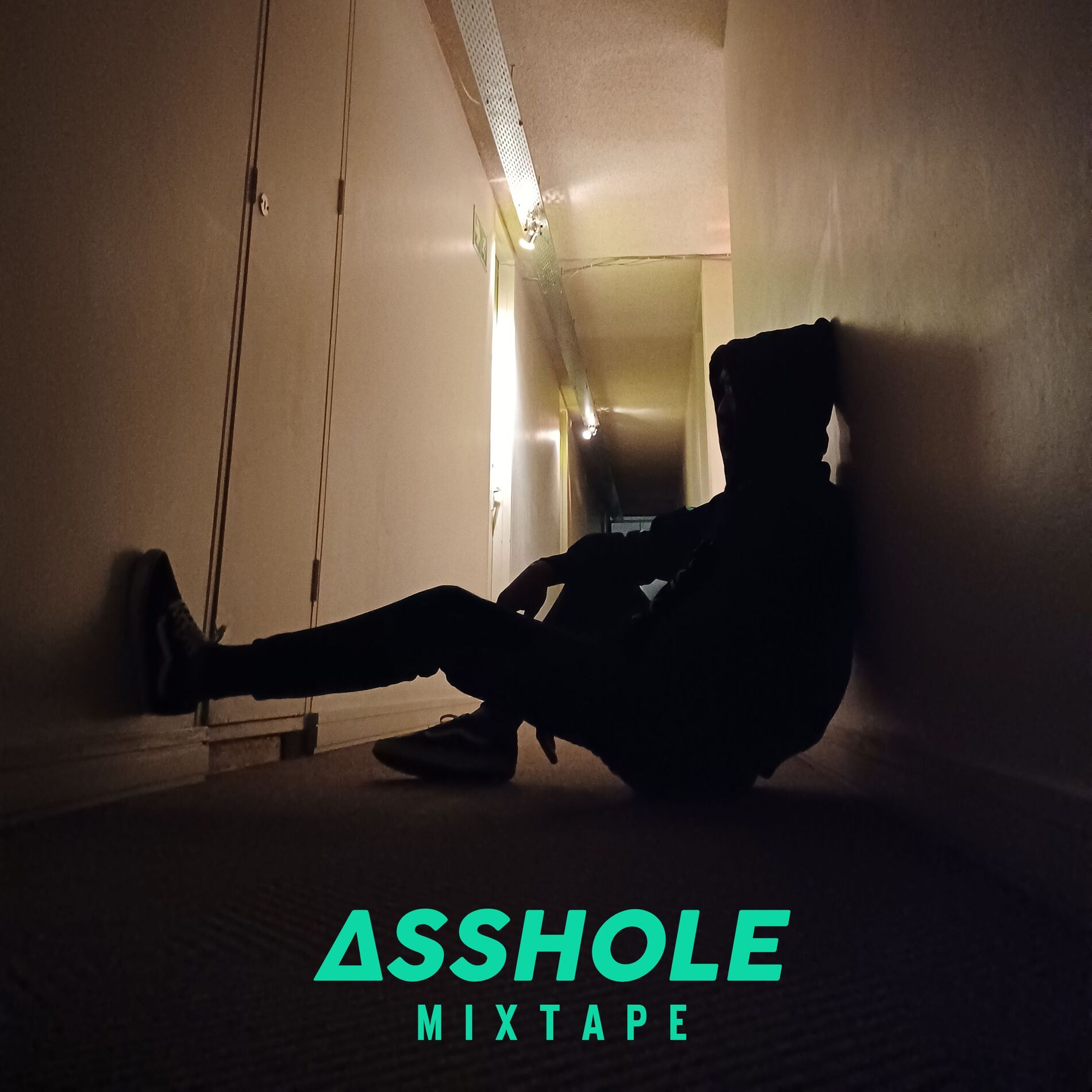 Album cover of Asshole: Mixtape