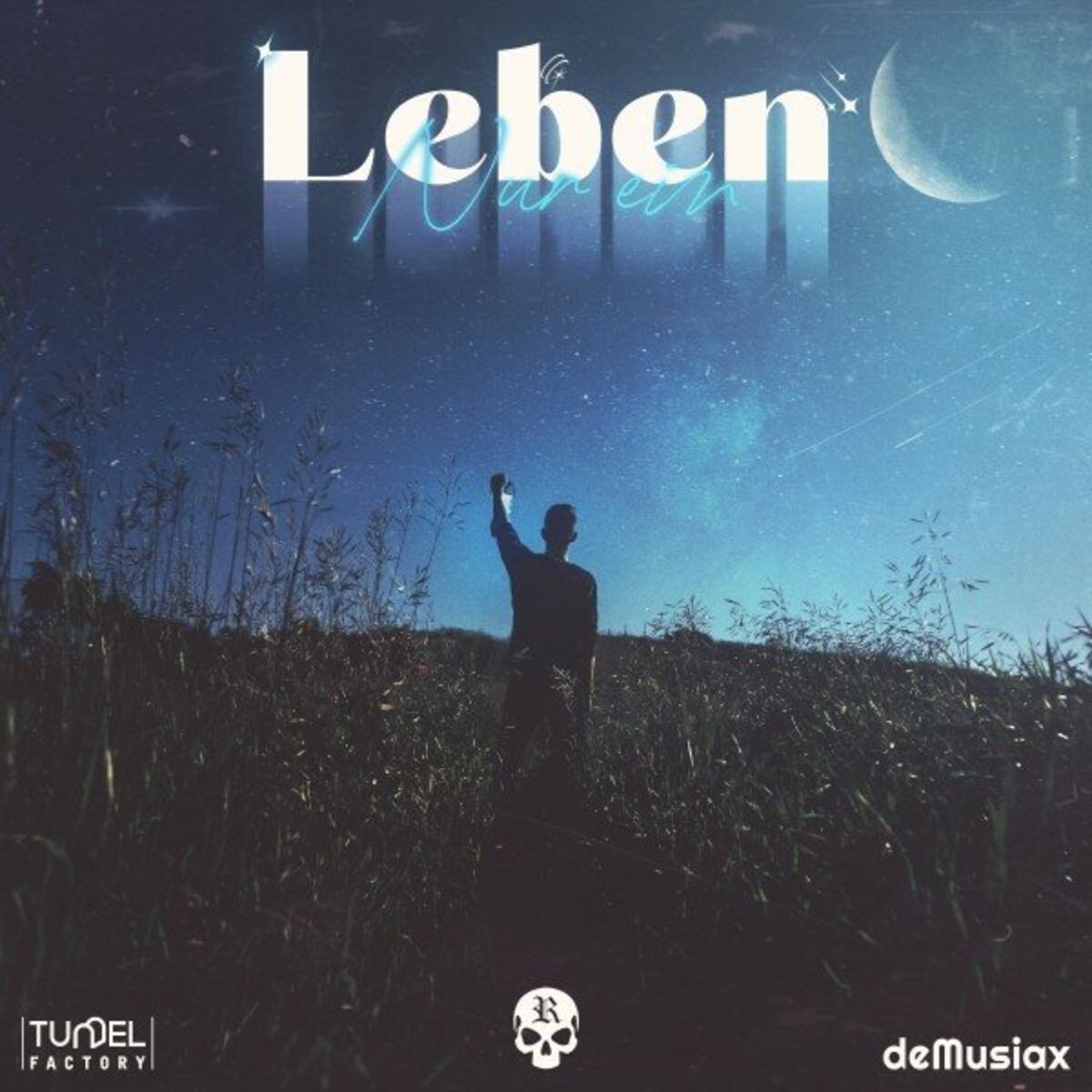 Album cover of Nur ein Leben