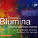 33 Miniatures for Piano (Excerpts): No. 12, Luminoso
