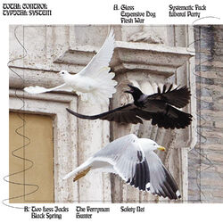 Cover of Typical System