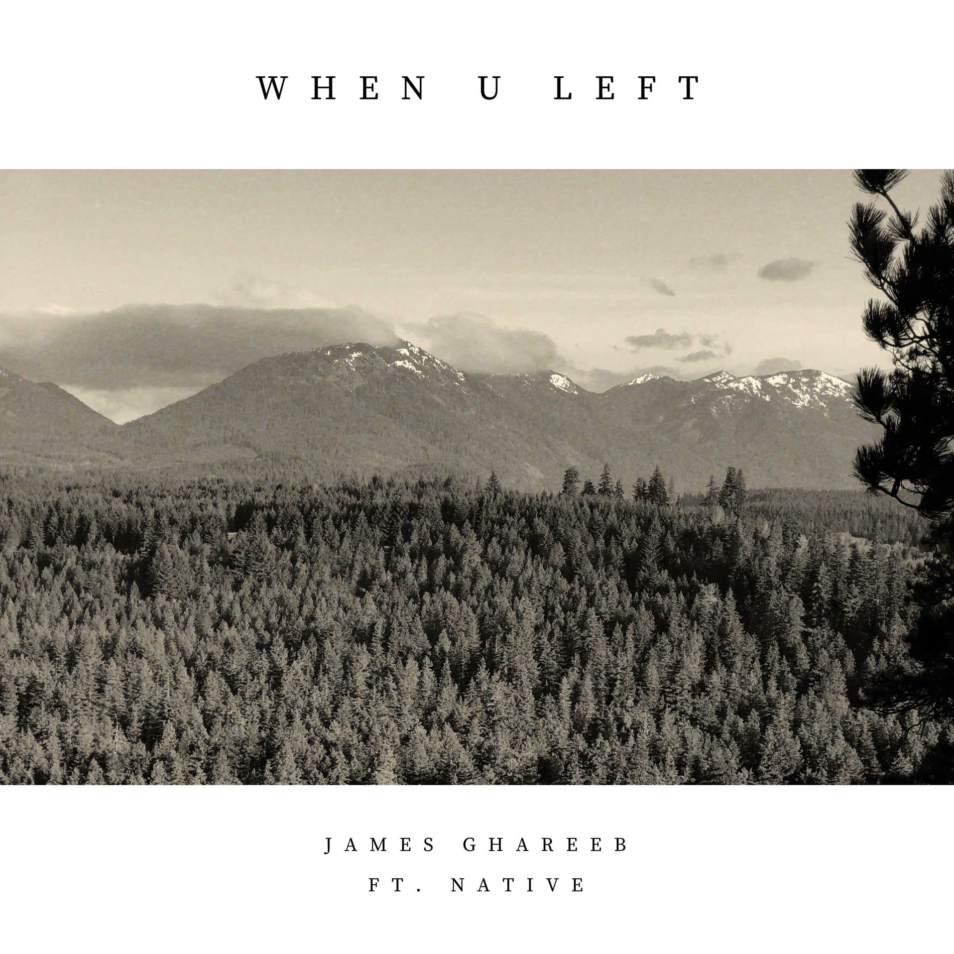Album cover of When U Left (feat. Native)
