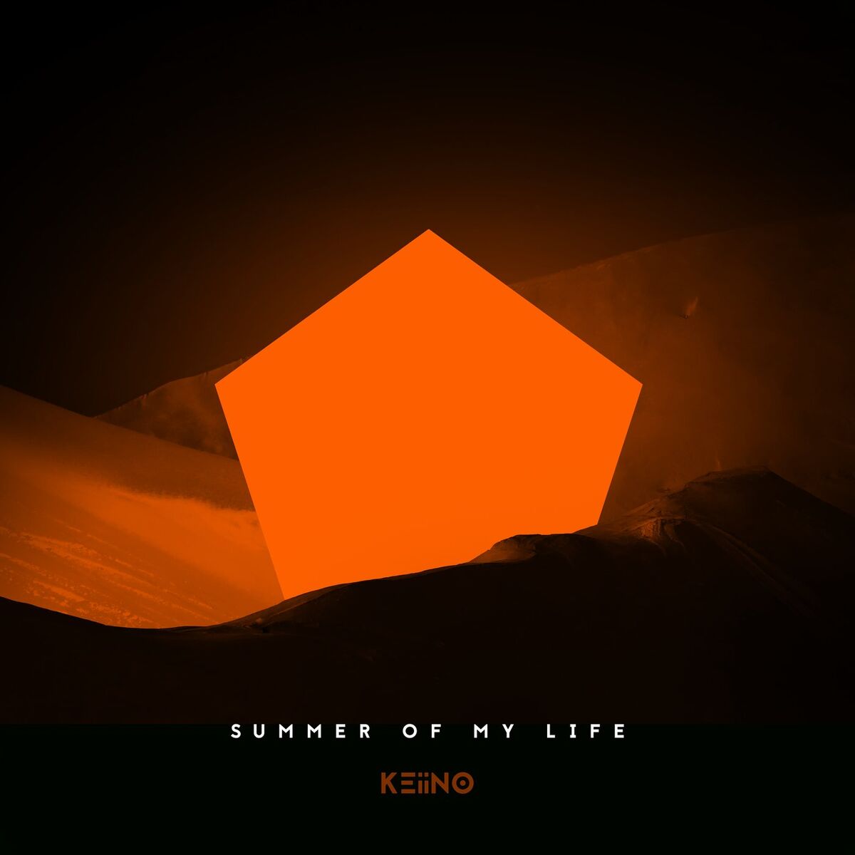 Album cover of Summer Of My Life