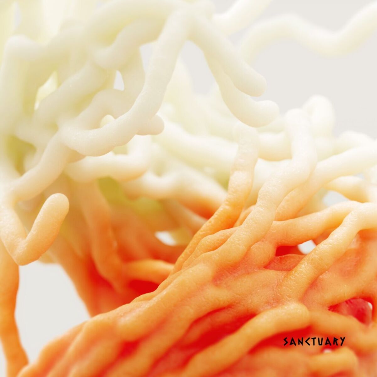 Album cover of Virtual Input