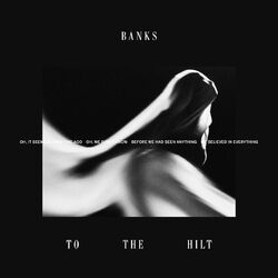 Cover of To The Hilt