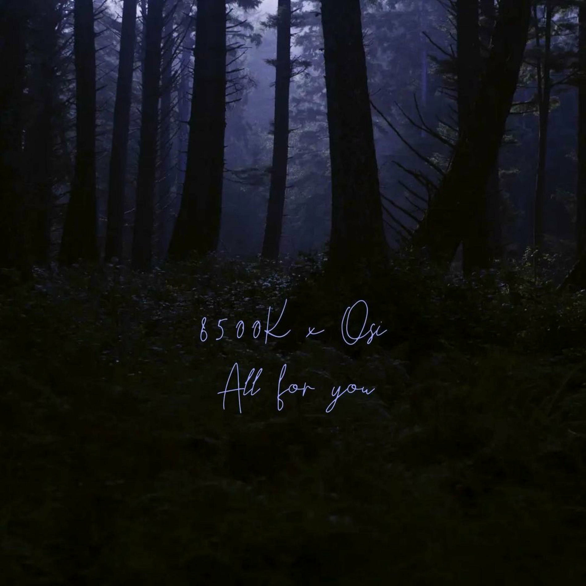 Album cover of All for you (feat. Osi)