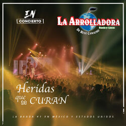 Cover of Heridas Que Se Curan