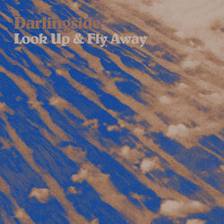 Cover of Look Up & Fly Away