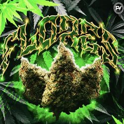 Cover of Flores