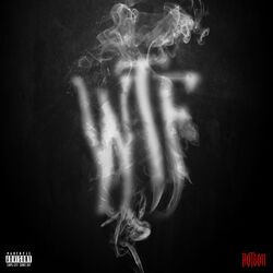 Cover of WTF