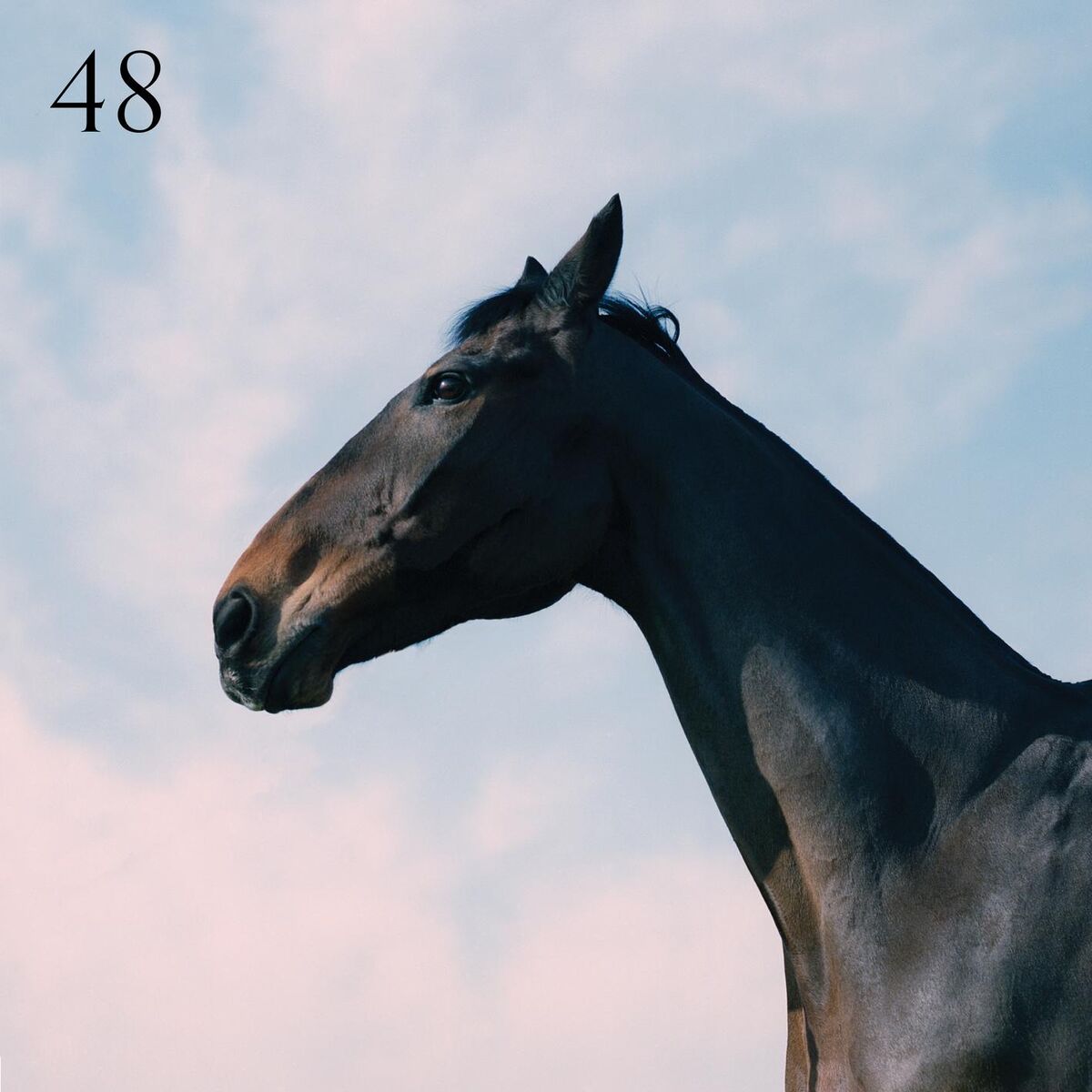 Album cover of 48 (feat. Jay Prince)