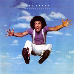 Cover of Endless Flight