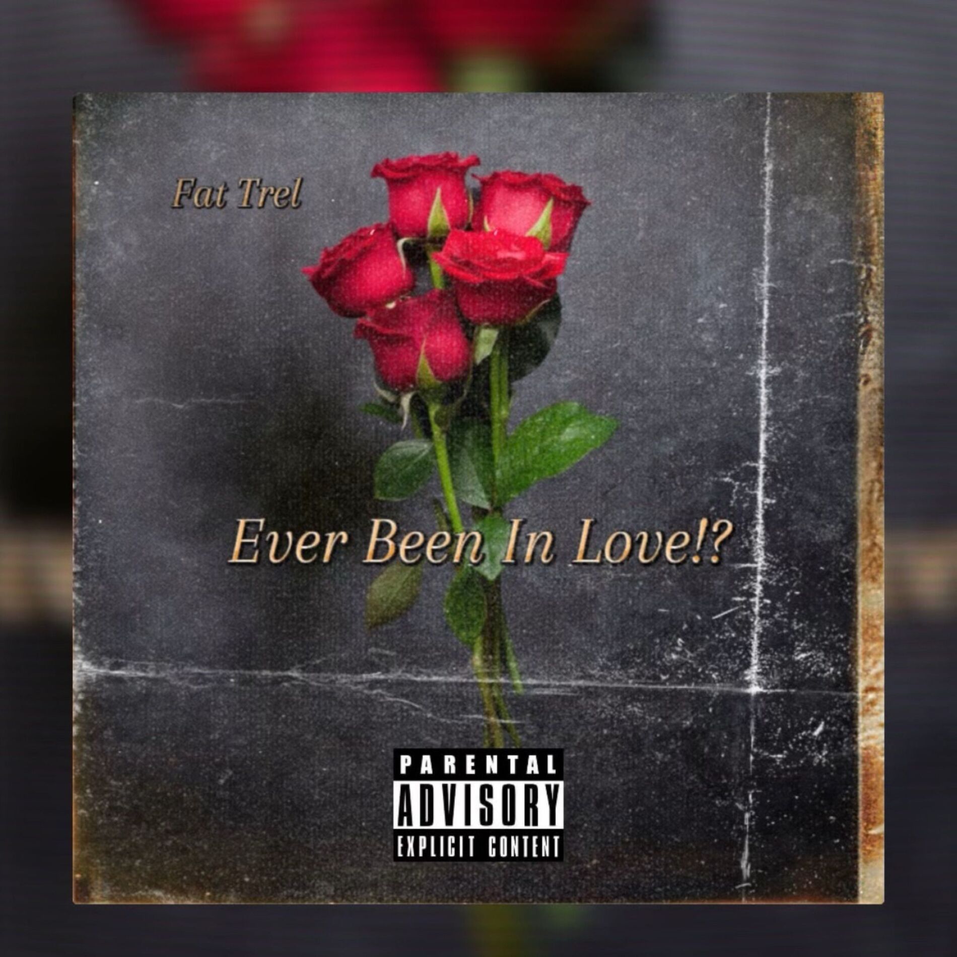 Album cover of Ever Been in Love
