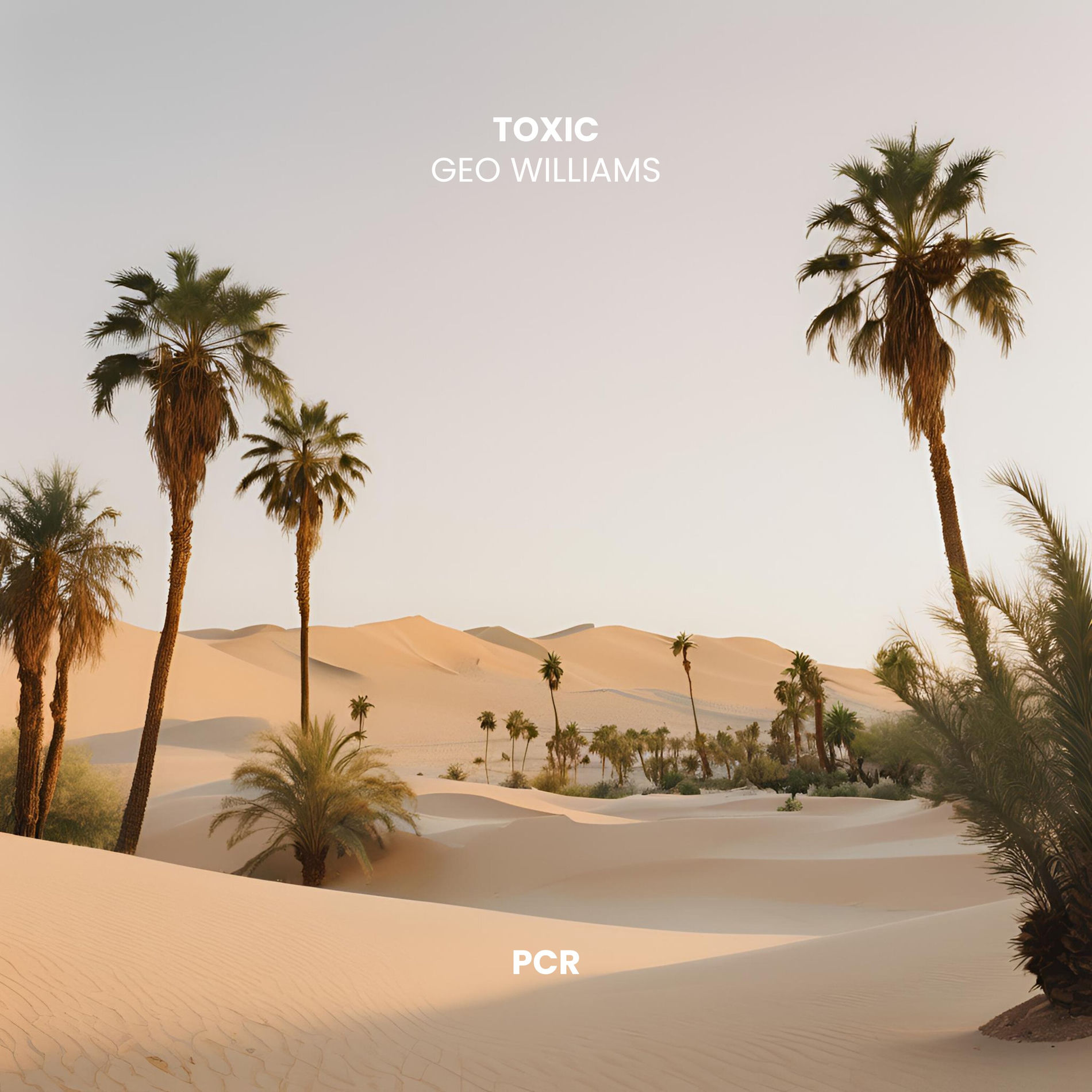 Album cover of Toxic