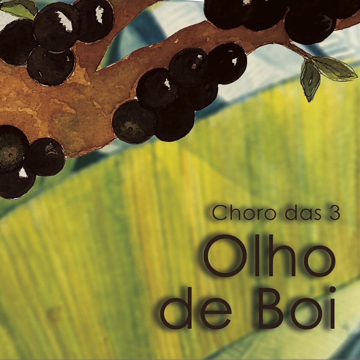Album cover of Olho de Boi