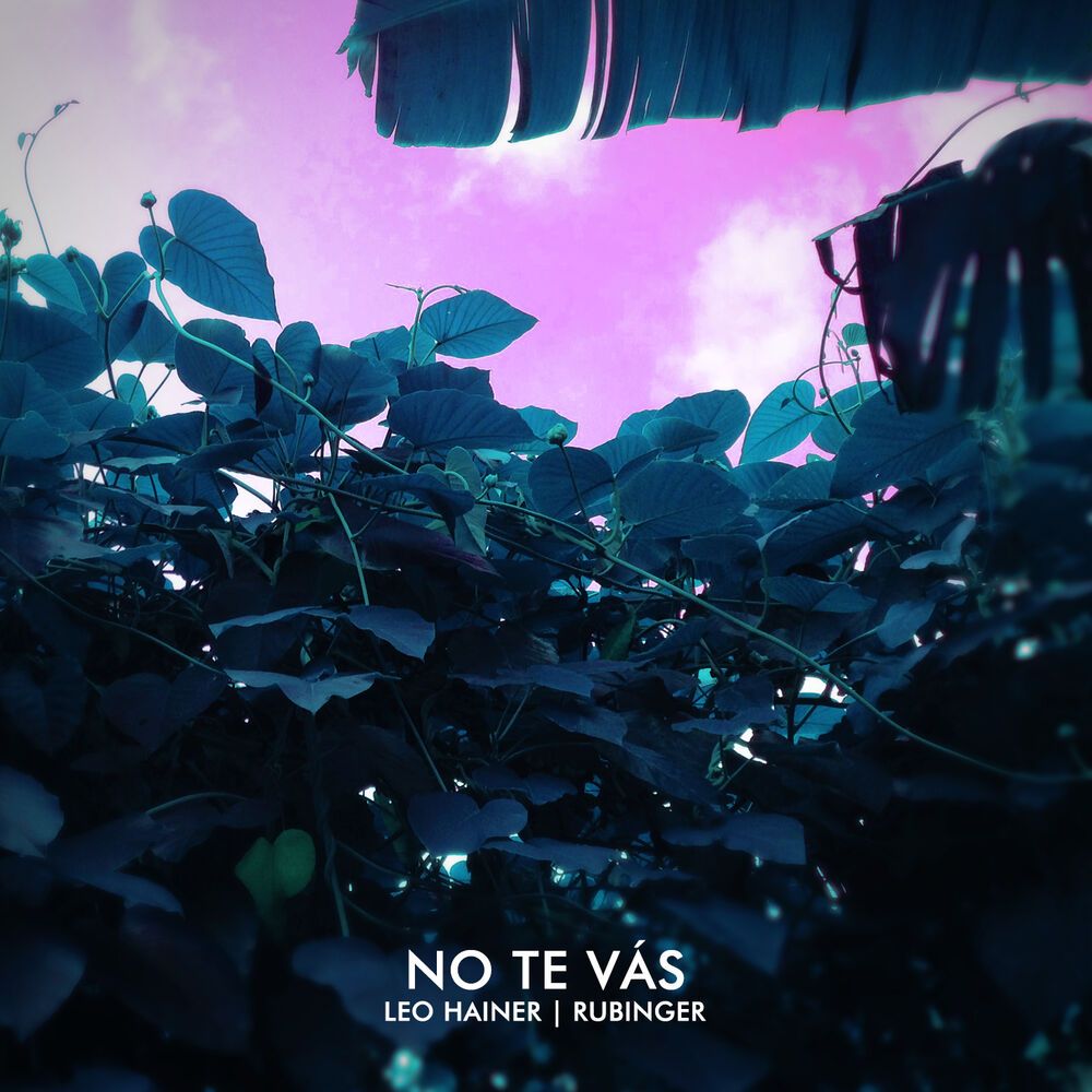 Picture of No Te Vás