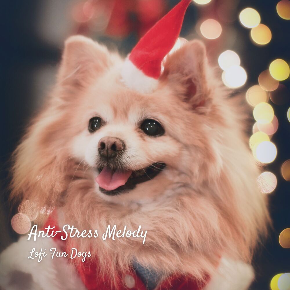 Picture of Anti-Stress Melody: Lofi Fun Dogs