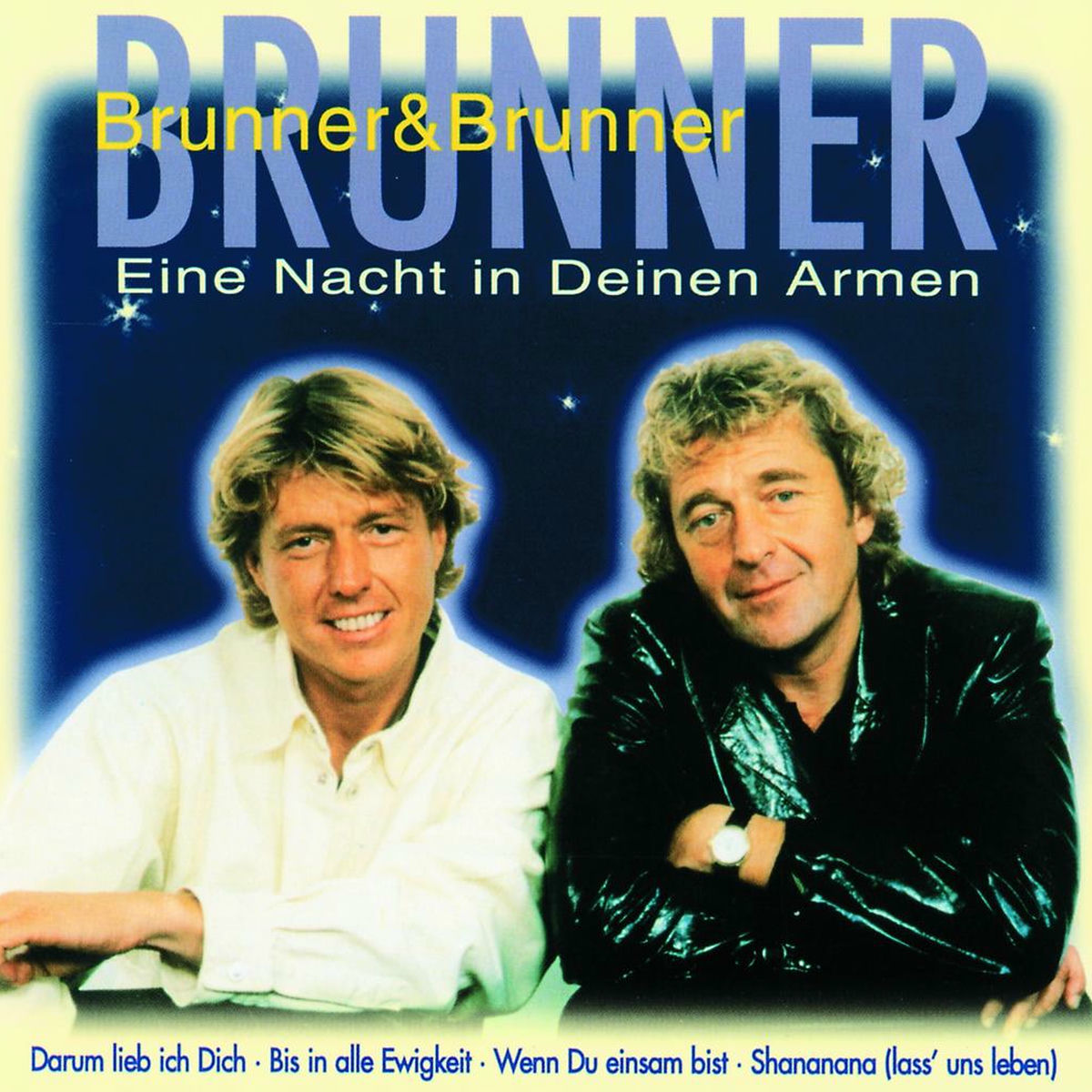 Album cover of Eine Nacht In Deinen Armen