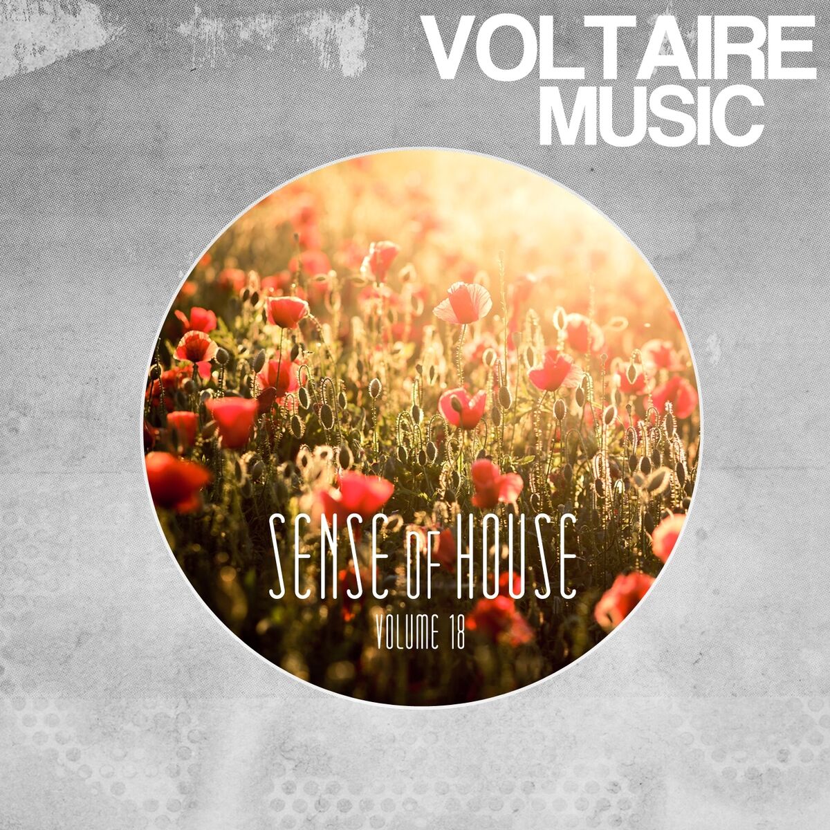 Album cover of Sense of House, Vol. 18