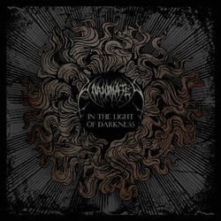 Cover of In The Light of Darkness