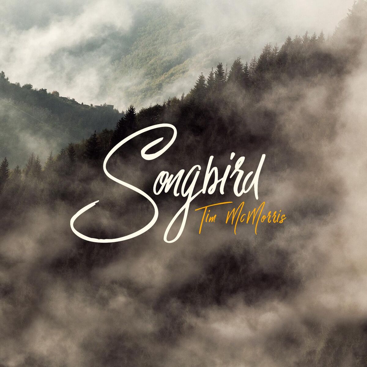 Album cover of Songbird