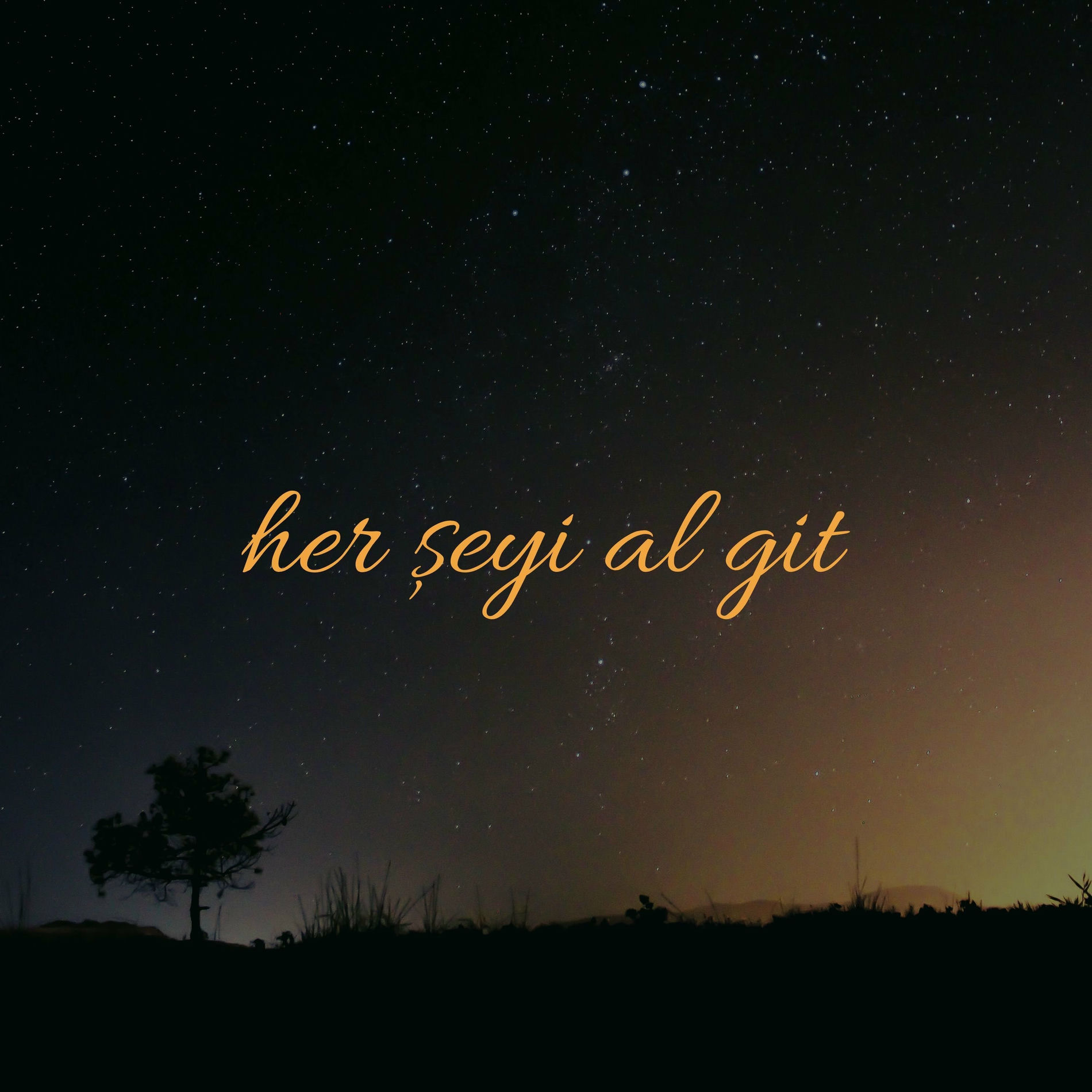 Album cover of Her Şeyi Al Git