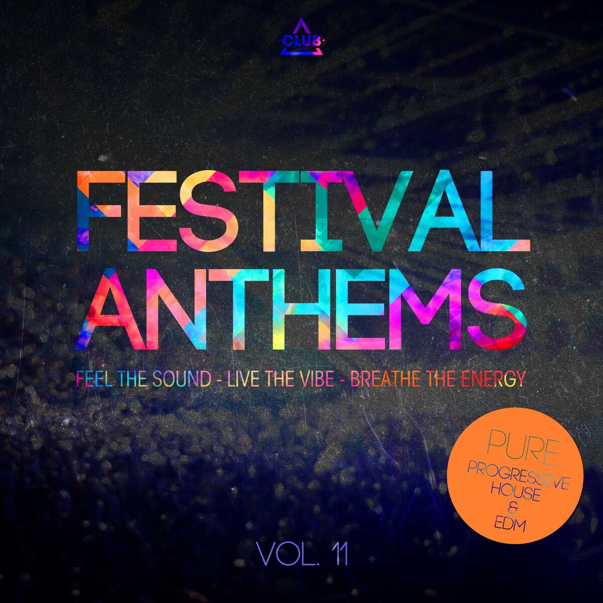 Album cover of Festival Anthems, Vol. 11