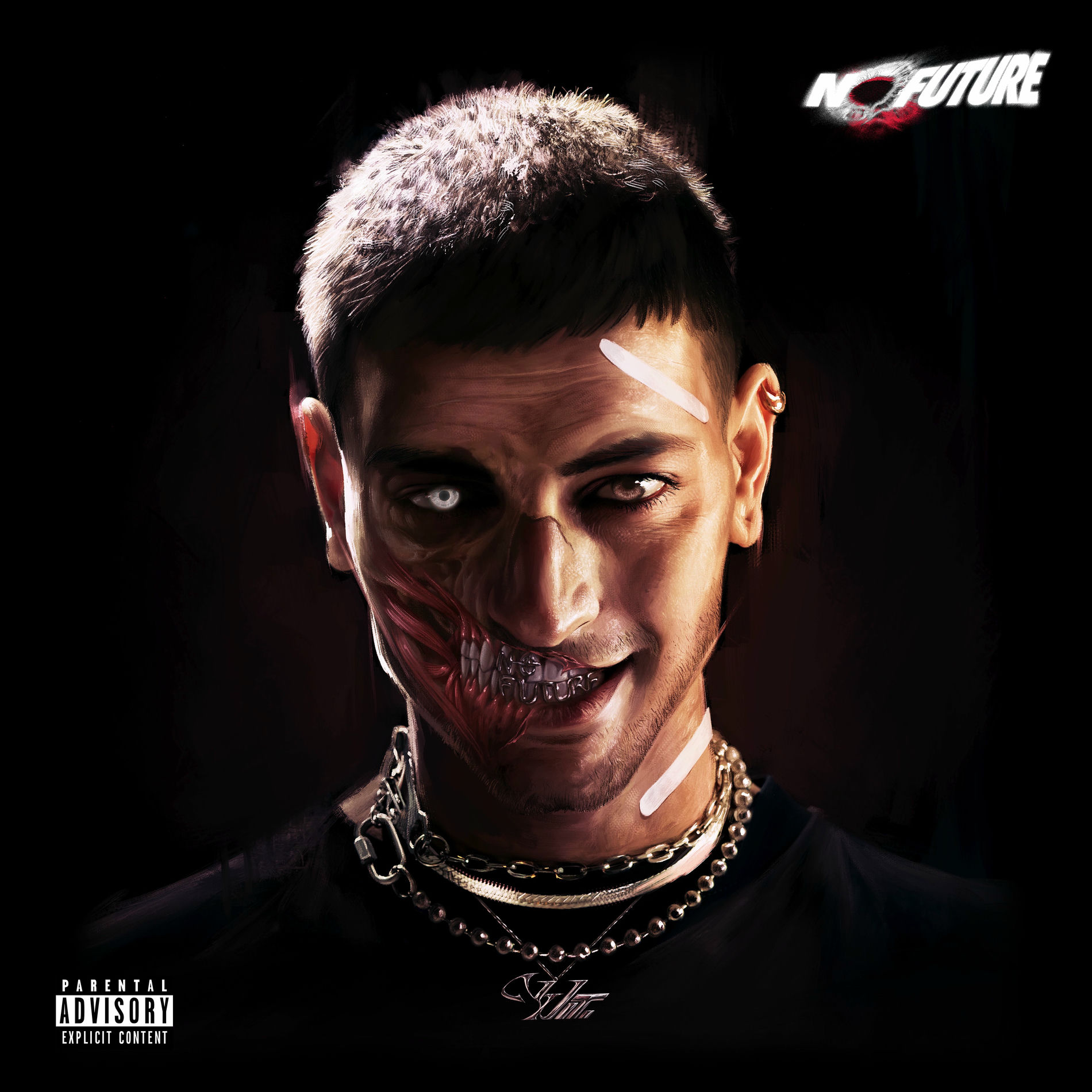Album cover of NO FUTURE