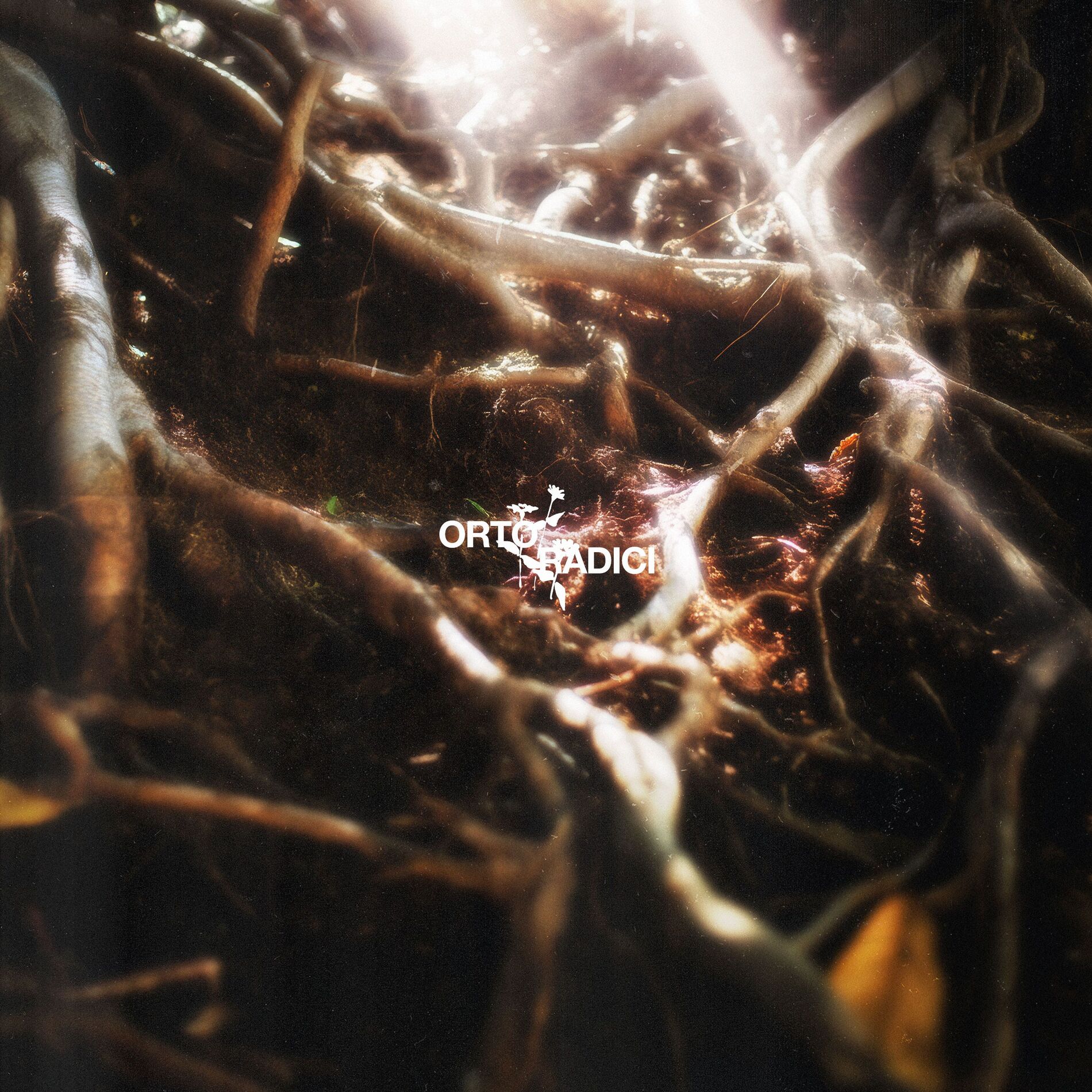Album cover of ORTO / RADICI (crescita)