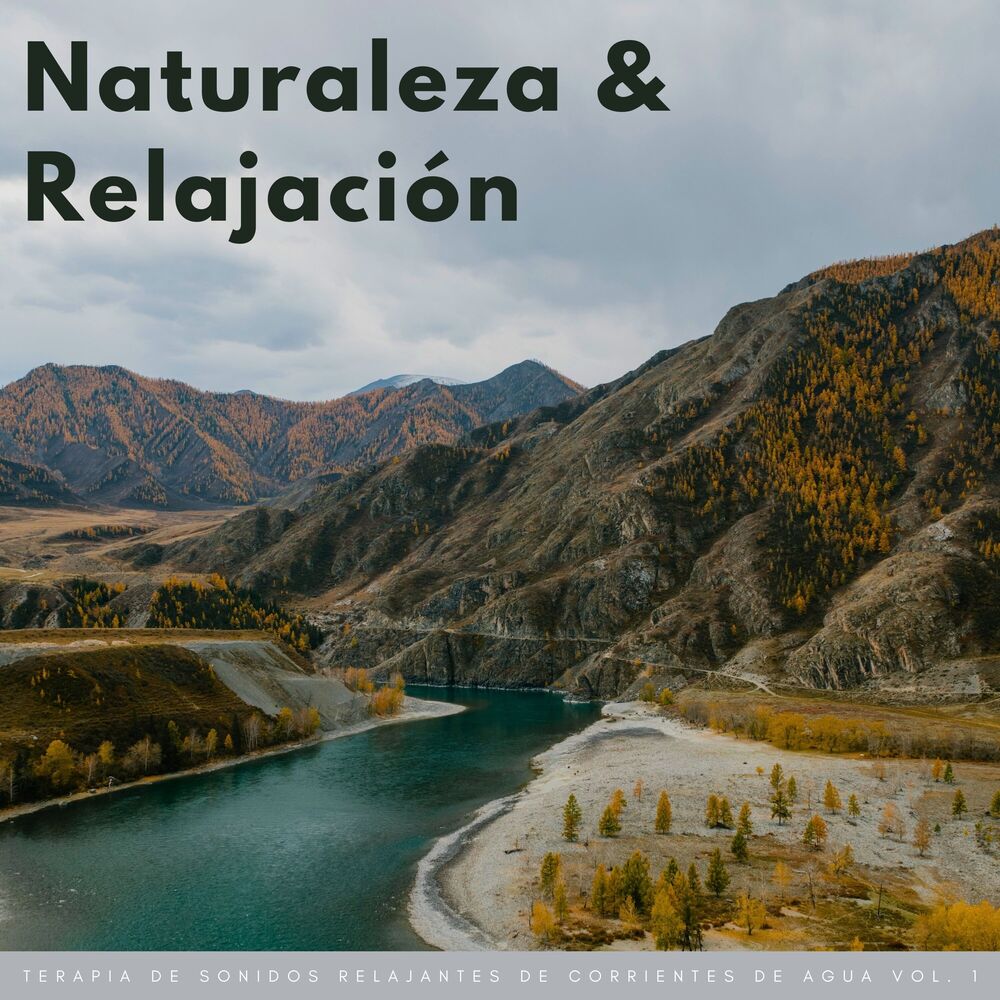 Picture of Naturaleza Y Relajación: Terapia De Sonidos Relajantes De Corrientes De Agua Vol. 1