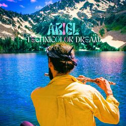 Cover of Technicolor Dream
