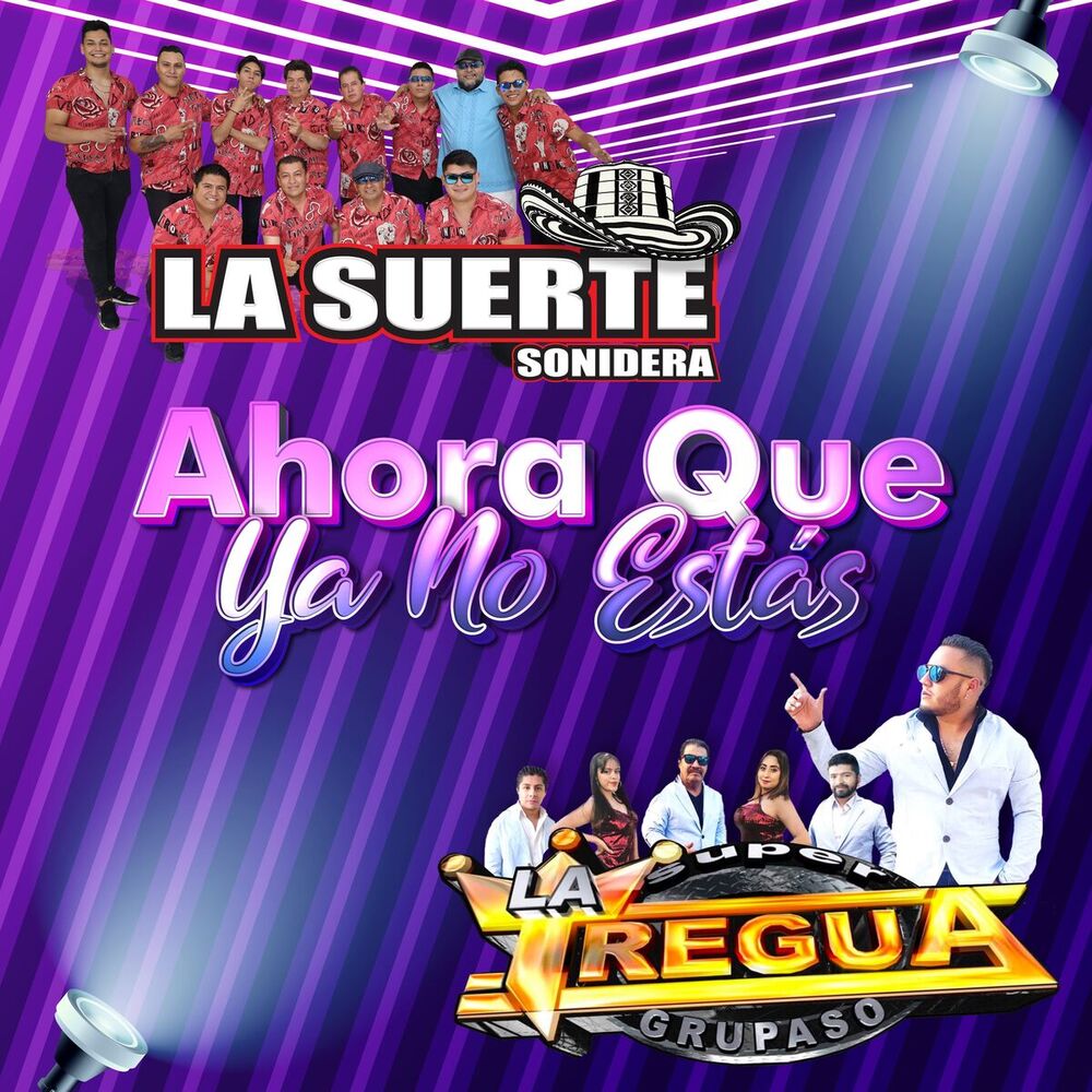 Picture of Ahora Que Ya No Estás