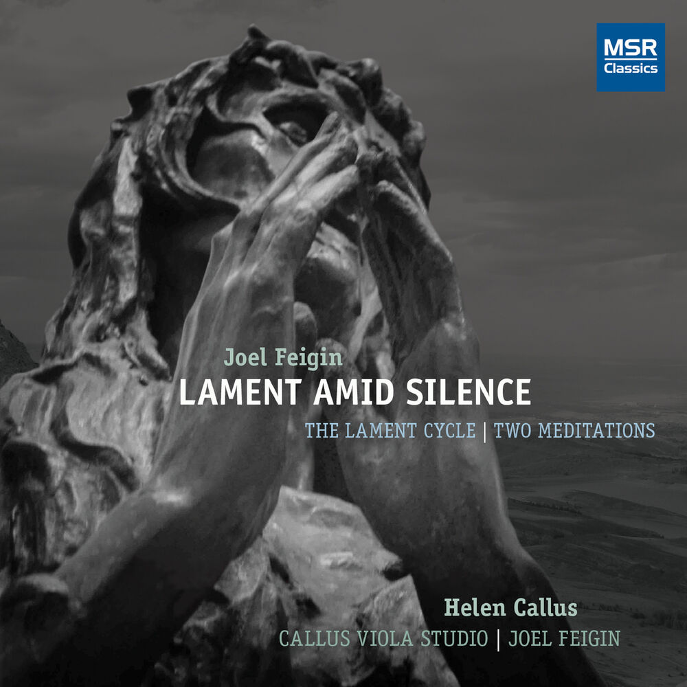 Picture of Lament Amid Silence: The Lament Cycle and Meditations