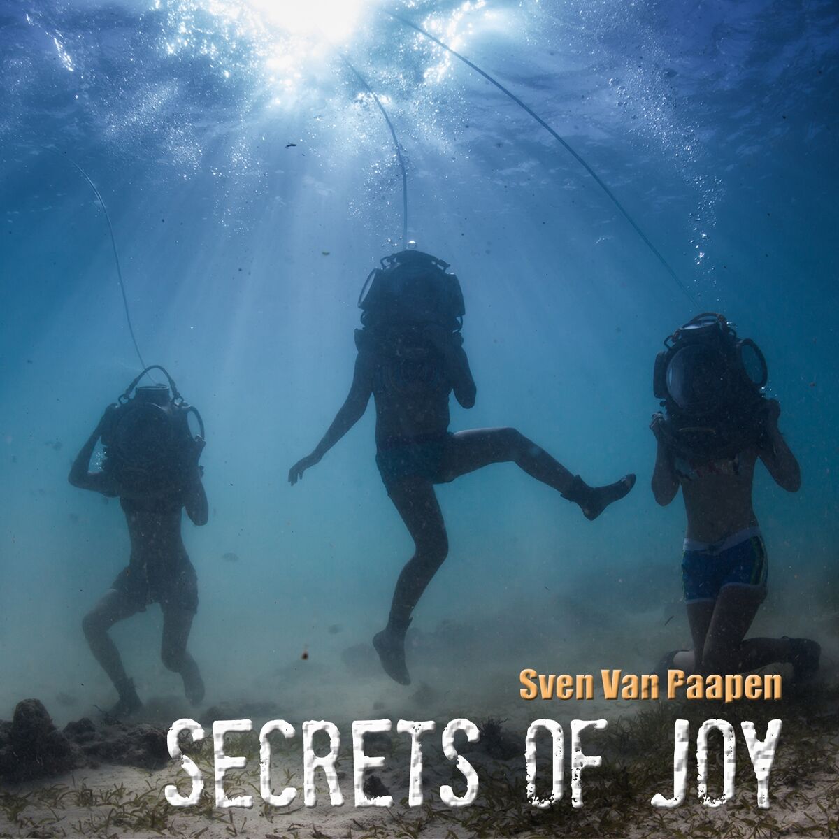 Album cover of Secrets Of Joy -Best Of