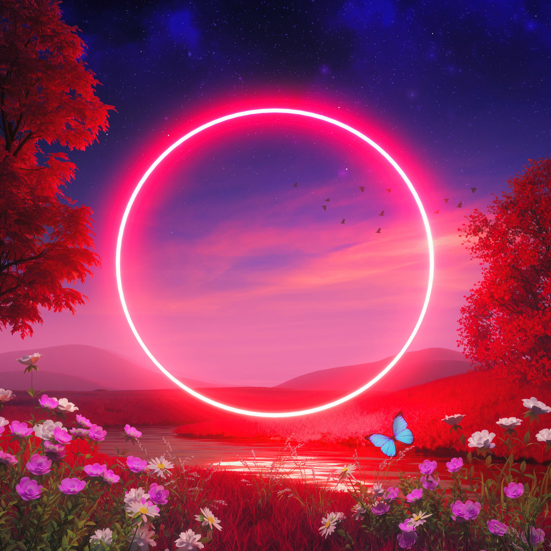 Album cover of stranger