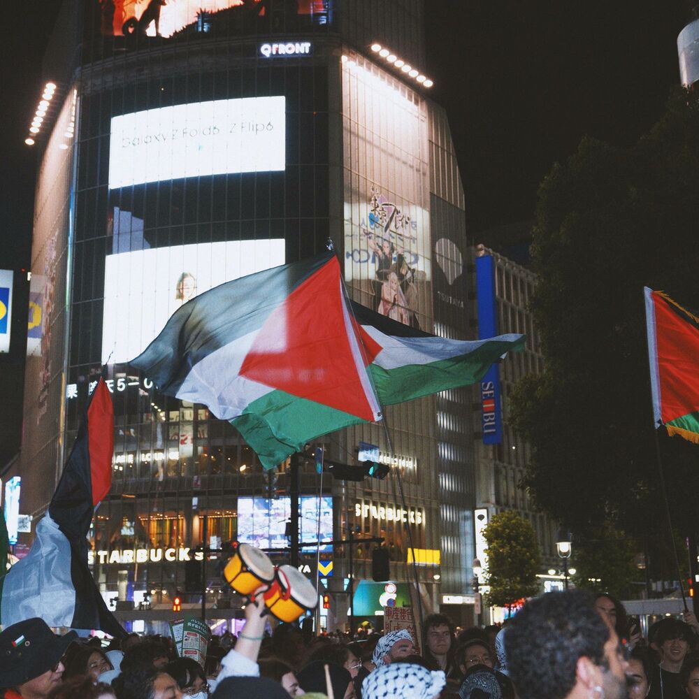Picture of Boycott (Original )