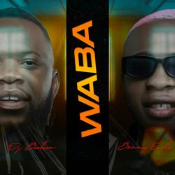 Cover of Waba