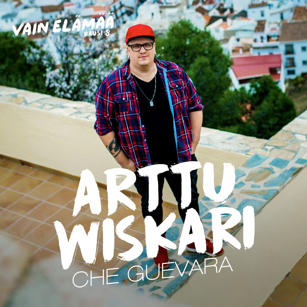 Picture of Che Guevara (Vain elämää kausi 8)