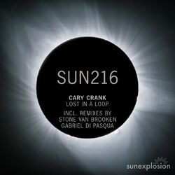 Cover of Lost in a Loop