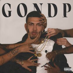 Cover of G.O.N.D.P