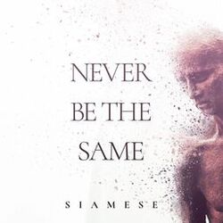 Cover of Never Be the Same