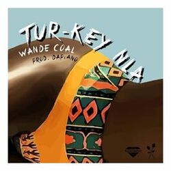 Cover of Tur-Key Nla