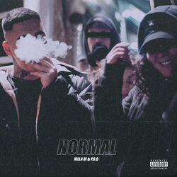 Cover of Normal