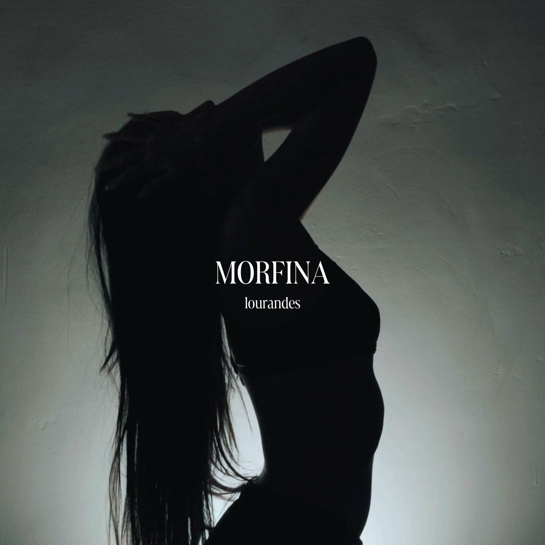 Album cover of Morfina
