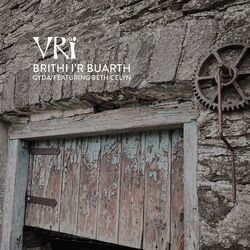 Cover of Brithi i'r Buarth