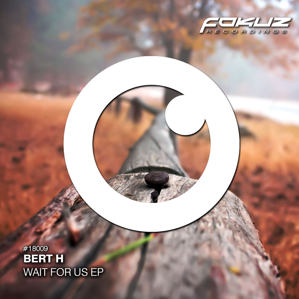 Picture of Wait For Us EP