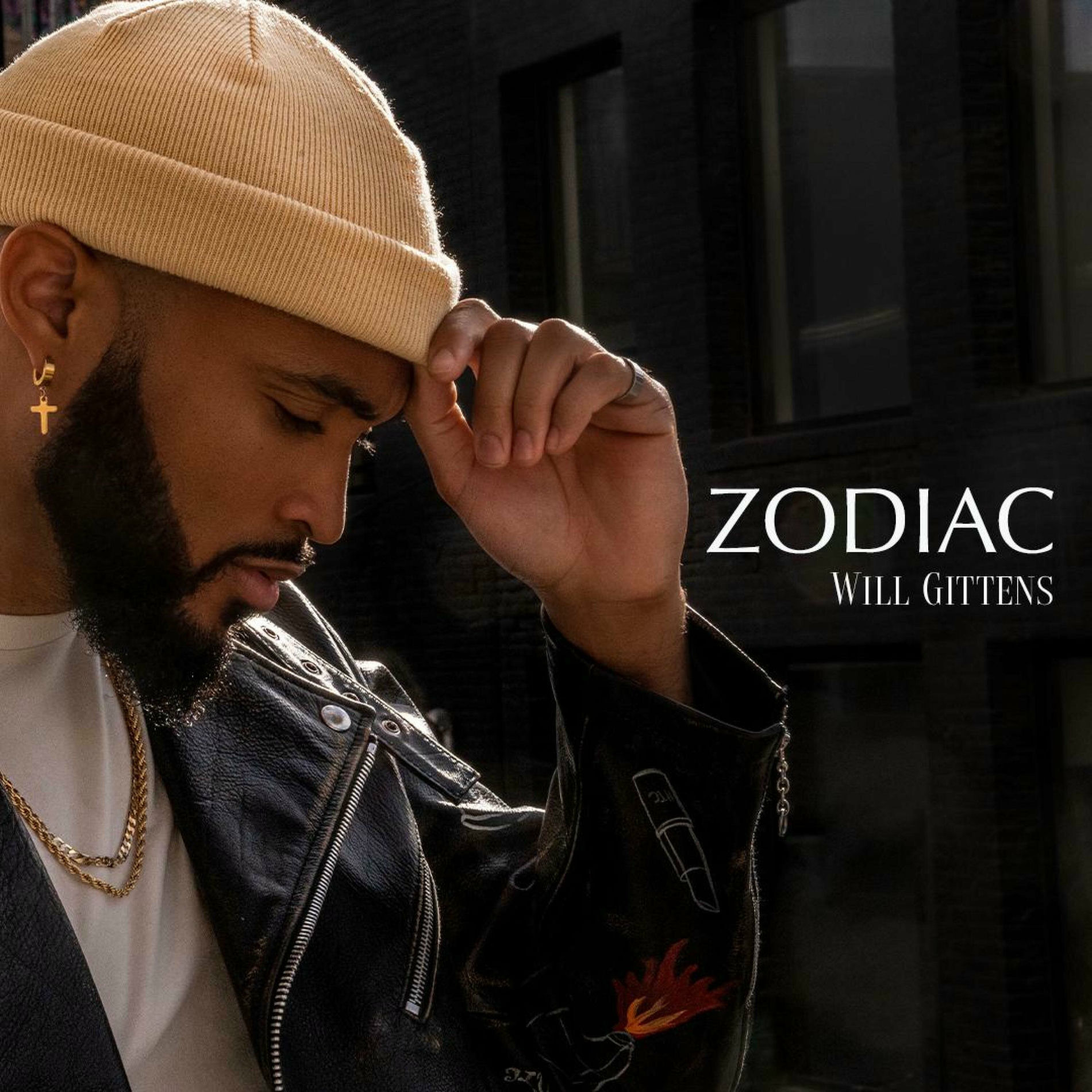 Album cover of Zodiac
