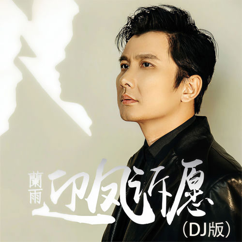 迎风诉愿（DJ版）